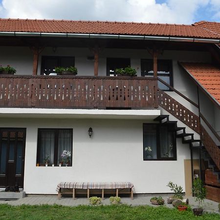 Havasi Gyopar Bed & Breakfast Praid Ngoại thất bức ảnh