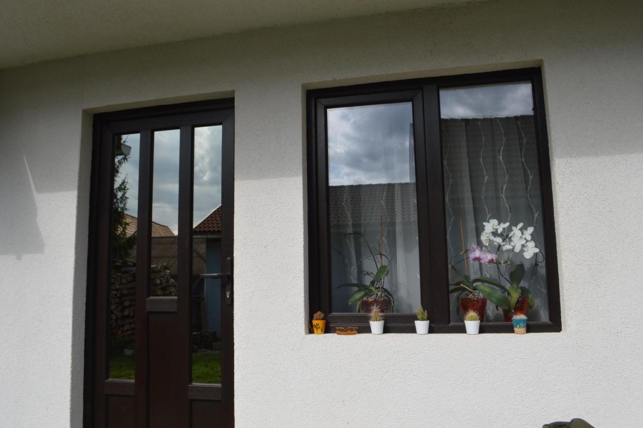 Havasi Gyopar Bed & Breakfast Praid Ngoại thất bức ảnh