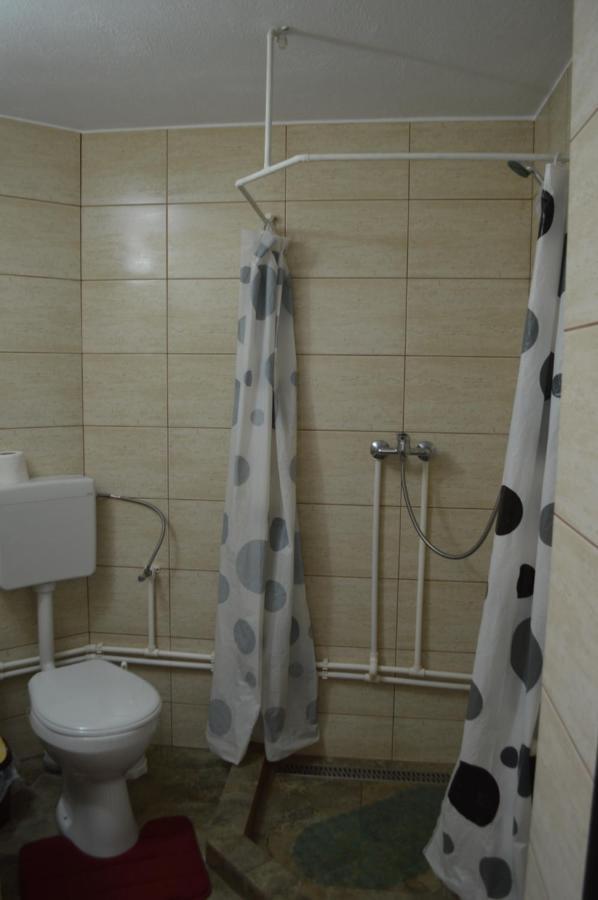Havasi Gyopar Bed & Breakfast Praid Ngoại thất bức ảnh